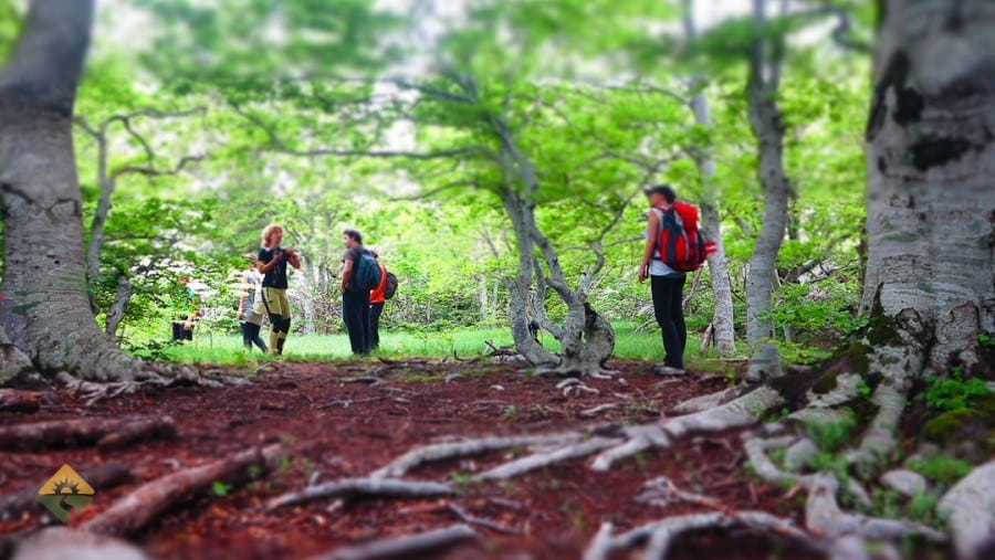 Velebit Mountain Croatia - Chasing the Donkey