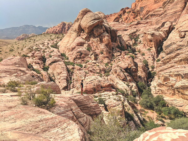 Things to do in Las Vegas - Red Rocks Canyon Conservation Area