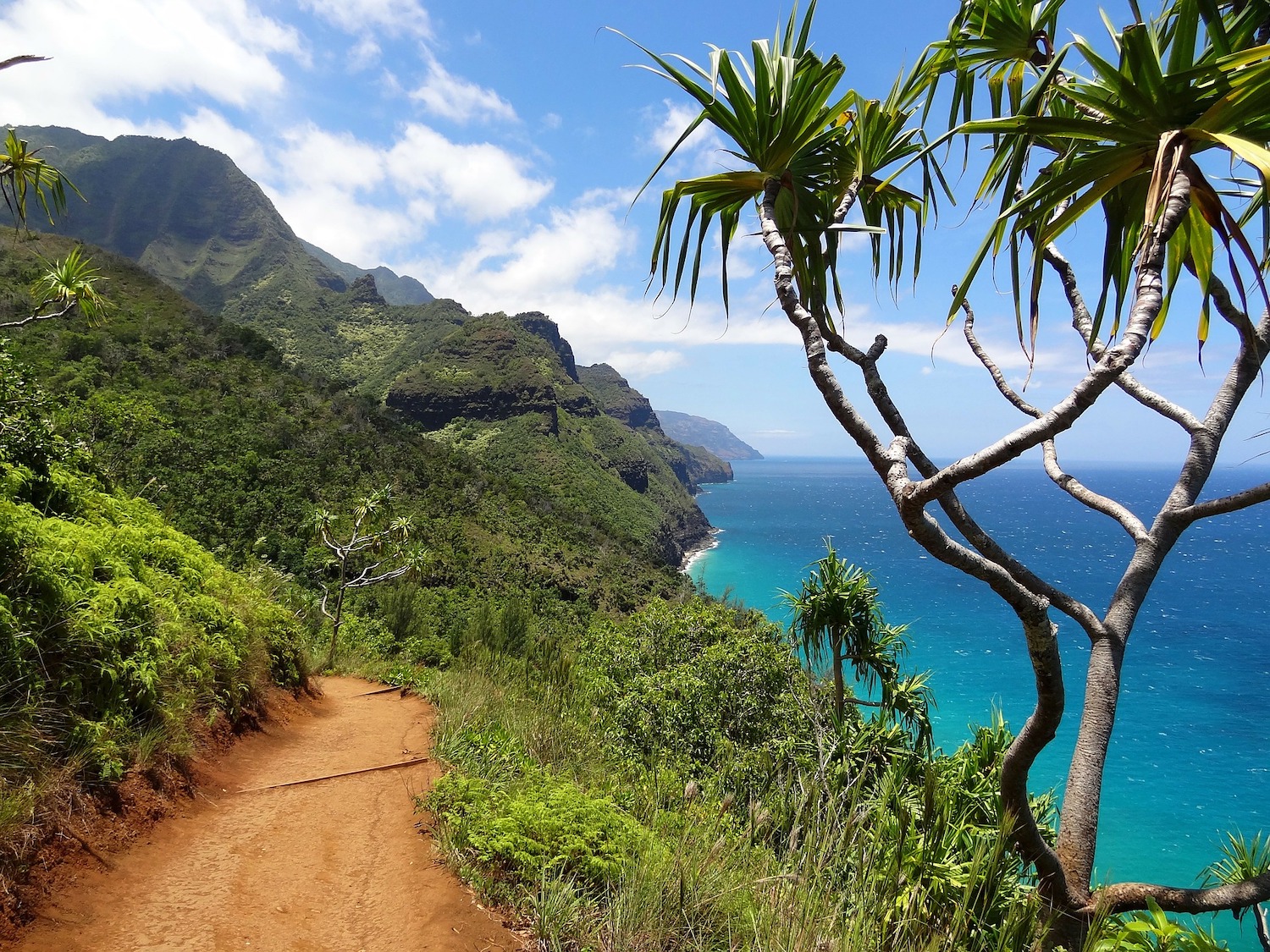 Methods to Make Your Kauai Journey Unforgettable